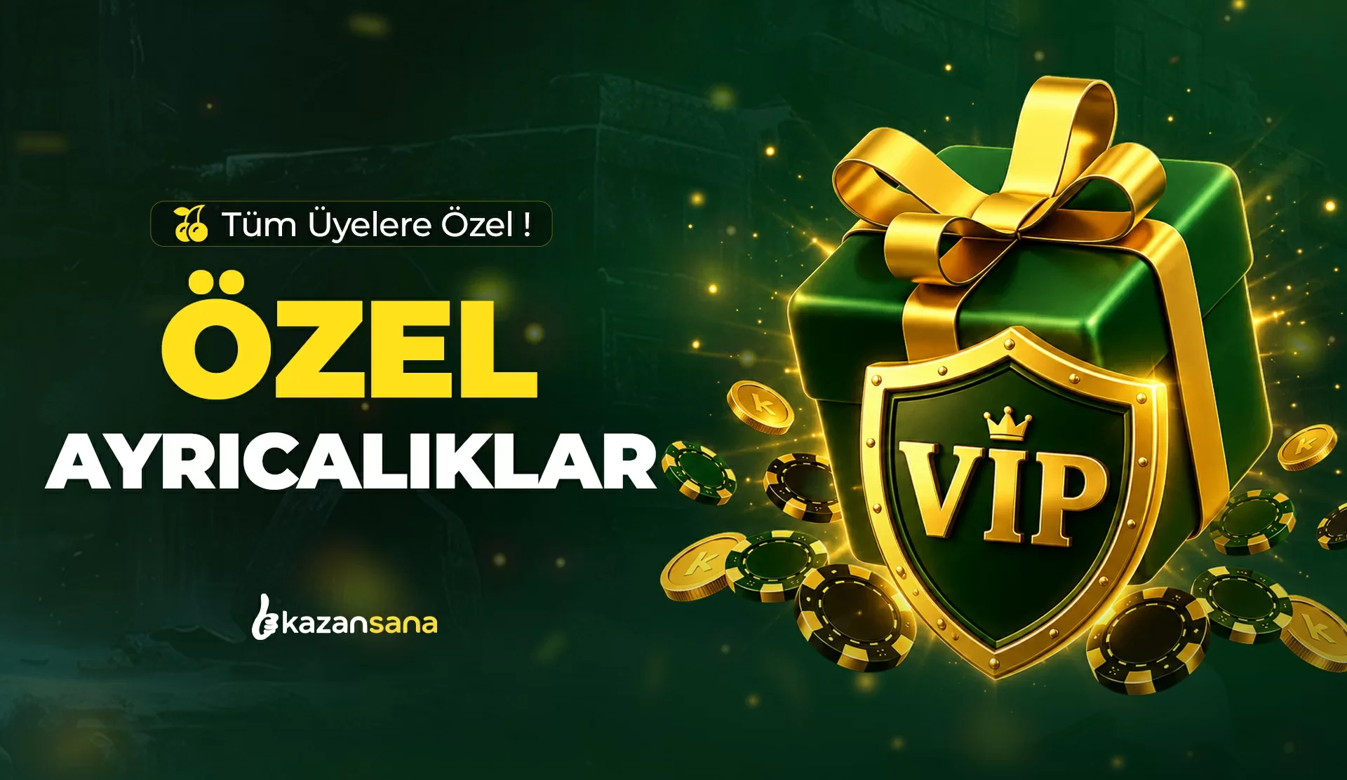 ÖZEL AYRICALIKLAR