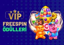 GÜNLÜK VIP FREESPİN SEVİYELERİ
