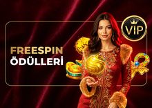 GÜNLÜK VIP FREESPİN SEVİYELERİ